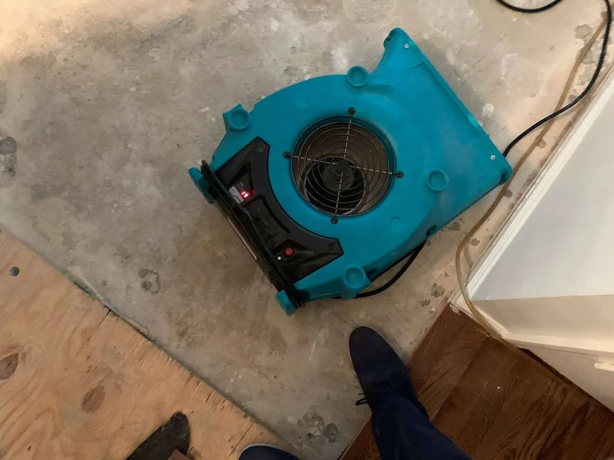 Air mover drying subfloor during Commercial Water Damage Restoration in Milford
